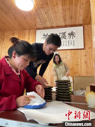 資料圖：杜贏(左二)在整理白茶餅?！×执阂?攝